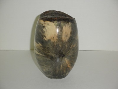Eight Inch Buckeye Vase - Jan 2013