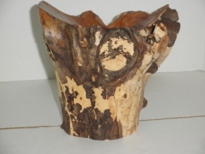 May 2016 Mike Patrick Dogwood Root